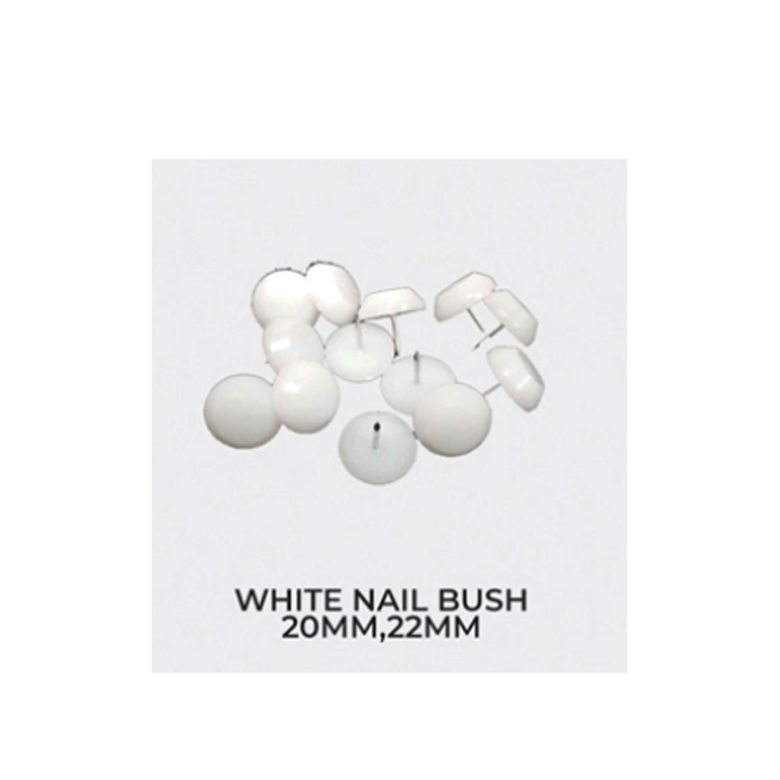 white-nail-bush
